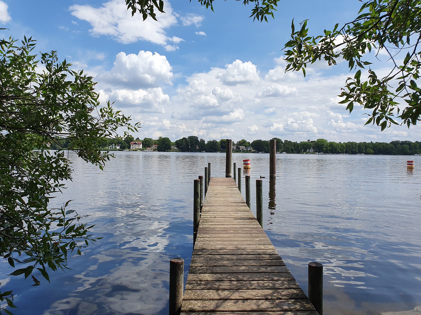 Langer Steg ins Wasser umgeben von Bäumen